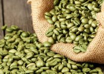 green coffee bean extract benefits