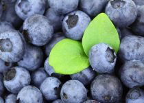 blueberries for brain health