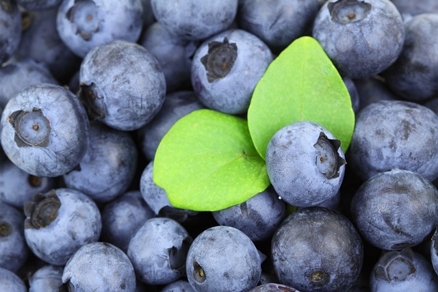 blueberries for brain health