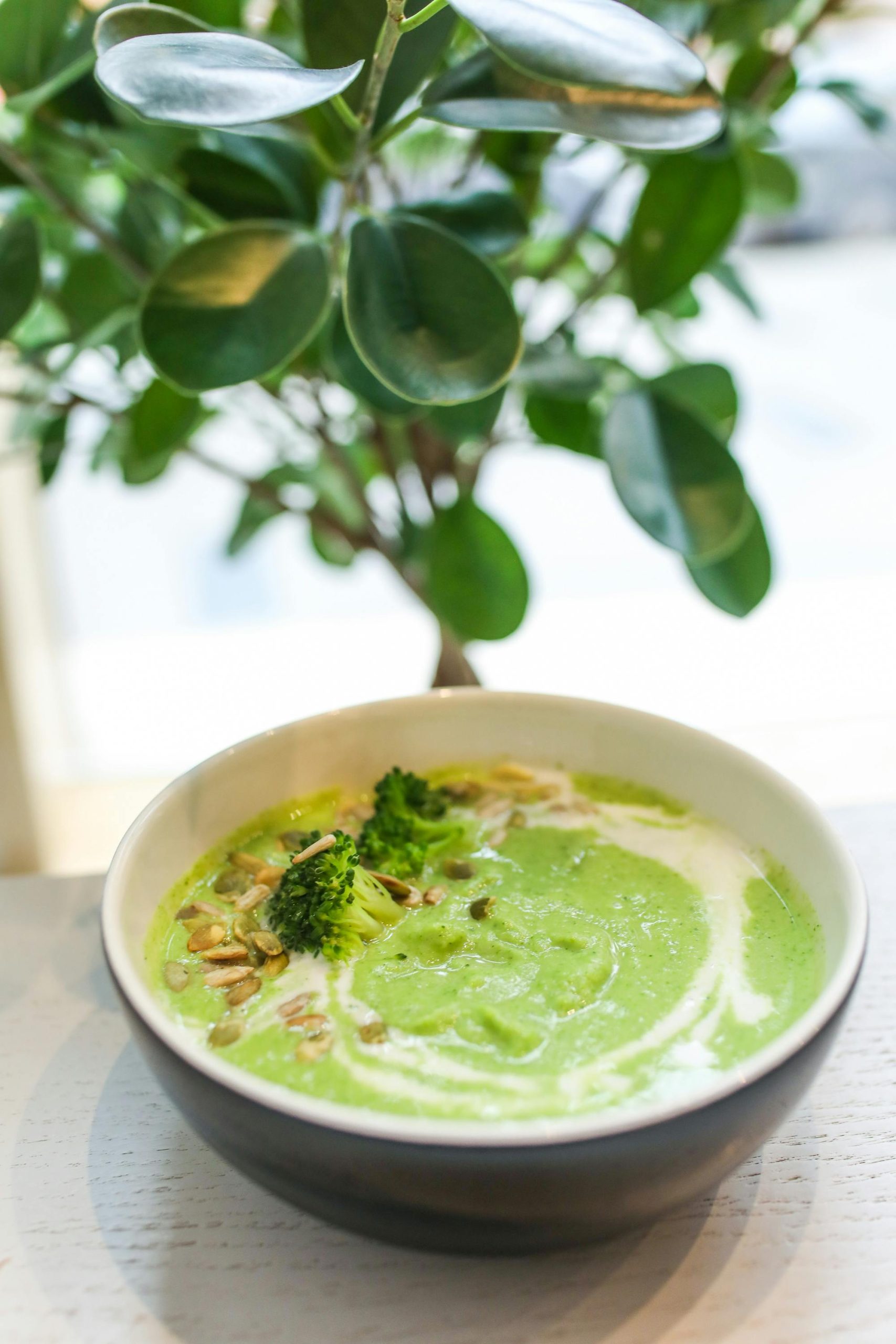matcha breakfast bowl
